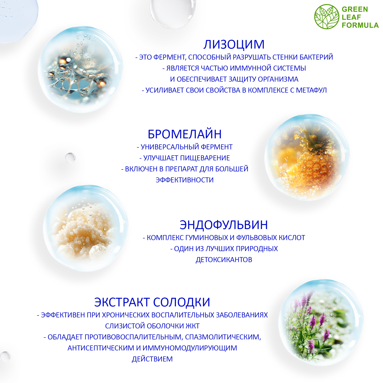 Детокс метабиотик Green Leaf Formula пробиотики при отравлении при интоксикации для жкт - фото 5