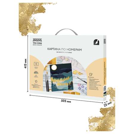 Картина по номерам ТРИ СОВЫ
