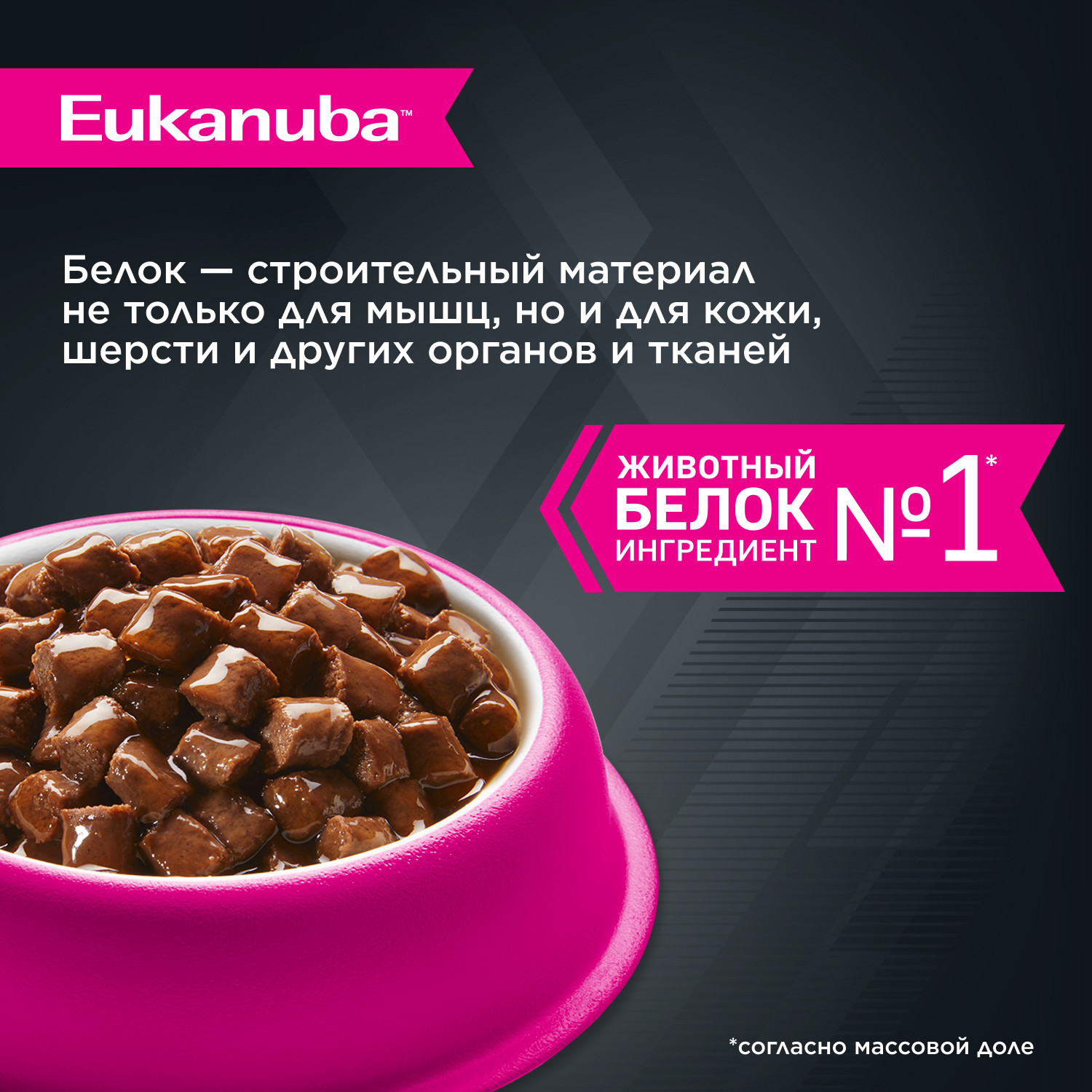 Корм для собак Eukanuba 100г с говядиной в соусе пауч - фото 3