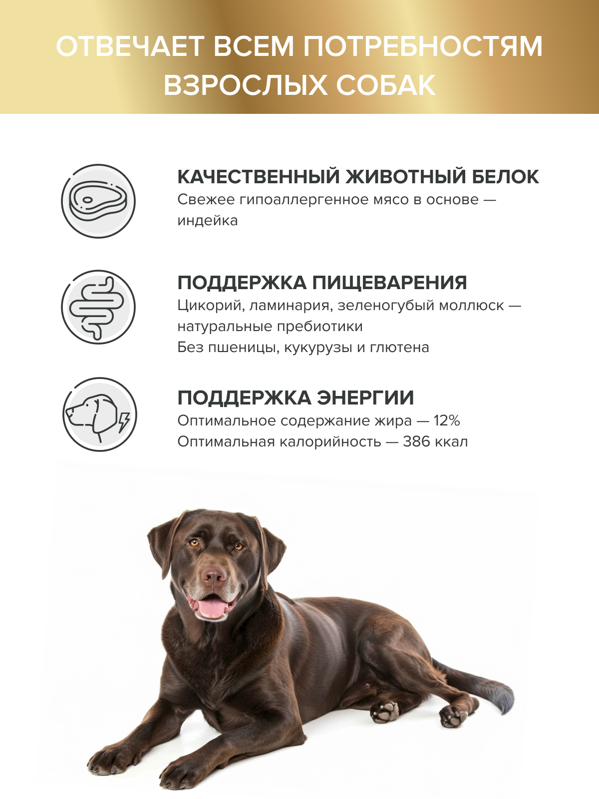 Корм DOCTRINE 3кг - фото 2