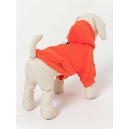 Толстовка для собак PIFPAF DOG