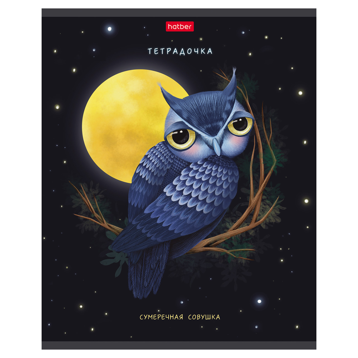 Общая тетрадь Hatber клетка 48 лист. в ассортименте - фото 3