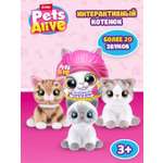 Мягкая игрушка Zuru Pets Alive Smitten Kittens