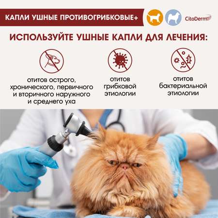 Капли ушные для животных CitoDerm противогрибковые+ 10мл