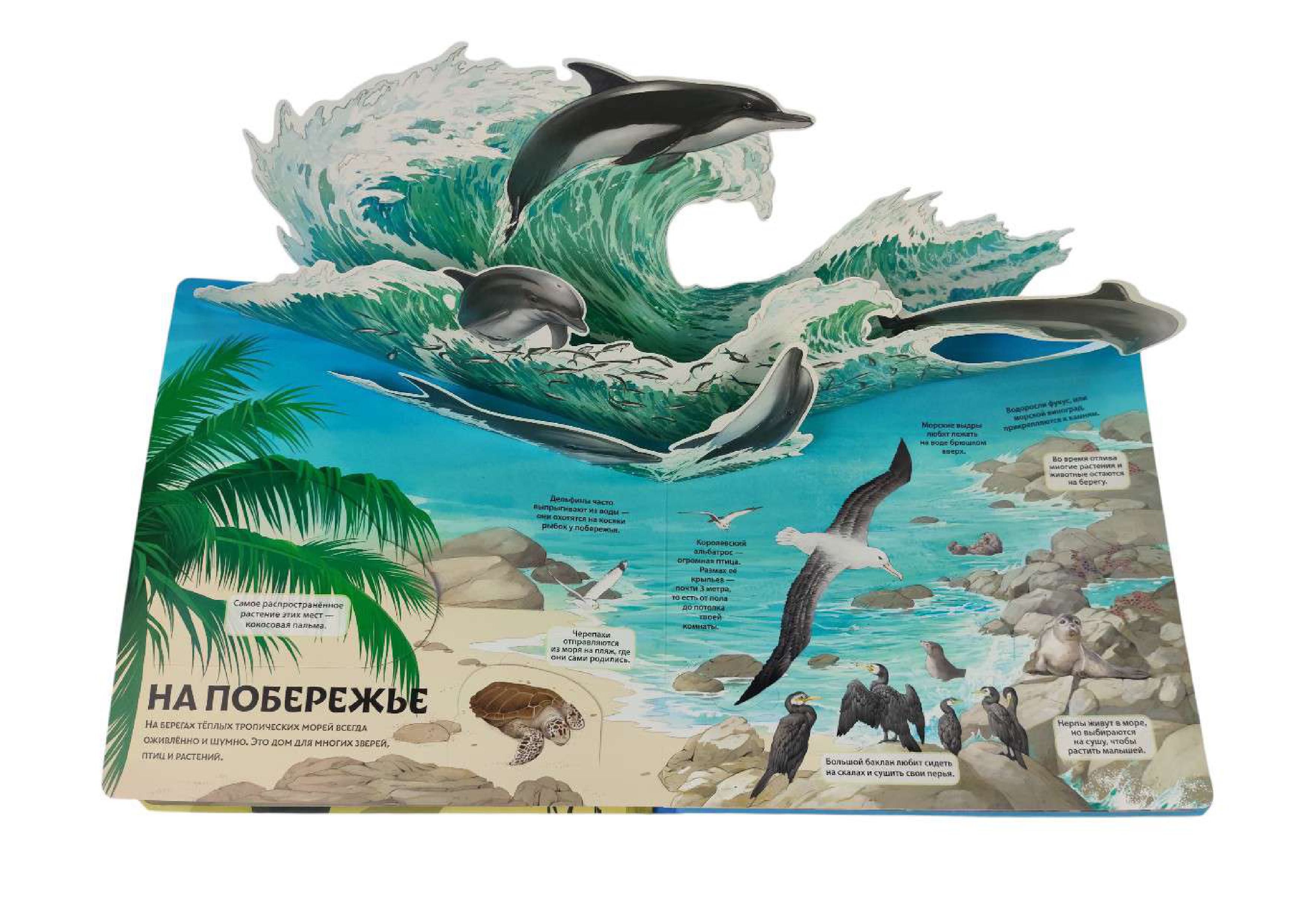 Книга Эксмо Животные и растения Энциклопедия - фото 5