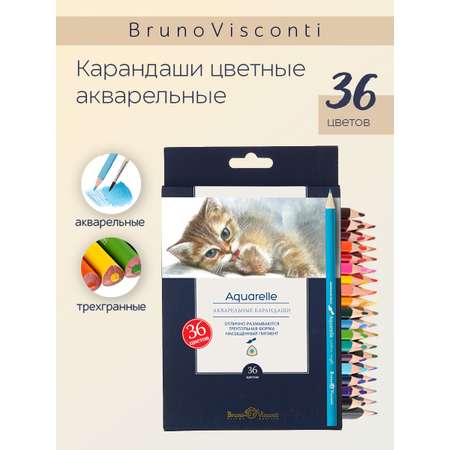 Карандаши цветные Bruno Visconti 36 шт.