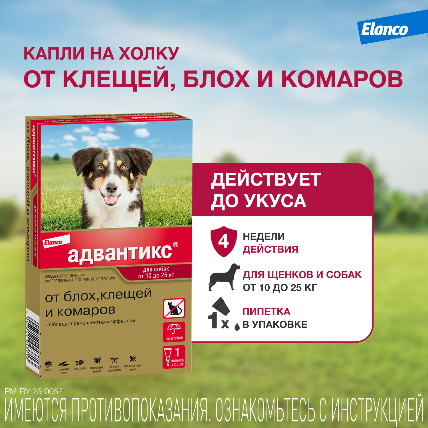 Капли для собак Elanco Адвантикс от 10 до 25 кг против блох и клещей 1пипетка - фото 1