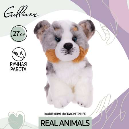 Мягкая игрушка Gulliver собачка Австралийская собака 27 см 27 см