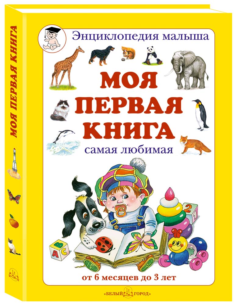 Книга Белый город Моя первая книга - фото 1