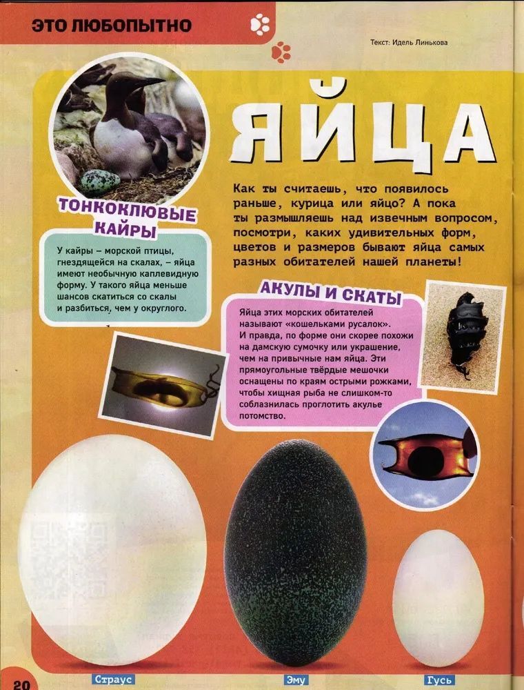 Набор журналов ИД Лев Детские журналы - фото 2