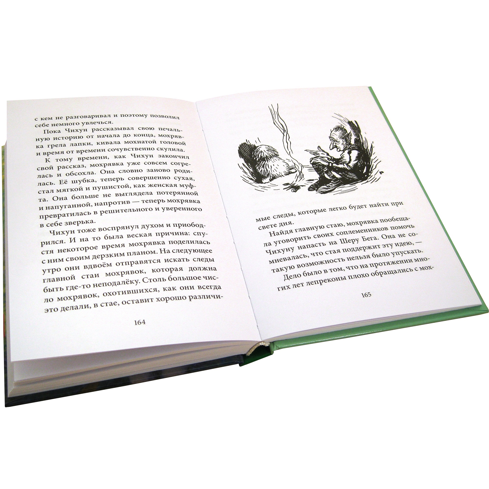 Дeнис Уоткинс-Питчфорд / Добрая книга / Гномы Боландского леса/ автор бестселлера Вверх по Причуди / BB - фото 6