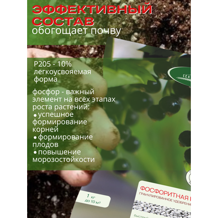 Удобрение осеннее Сельхозтрест Фосфоритная мука 1 кг