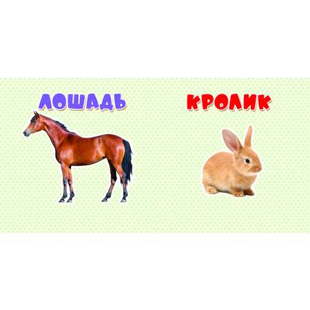 Книга АСТ Первые слова с мягкими пазлами Домашние животные