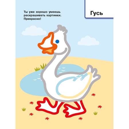 Раскраска с цветным контуром Домашние животные