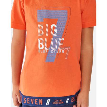 Футболка Blue Seven