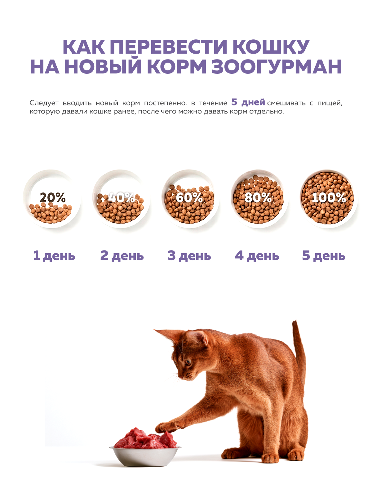 Сухой корм для взрослых кошек Зоогурман Holistic ягненок с рисом и брусникой 1.5кг - фото 6
