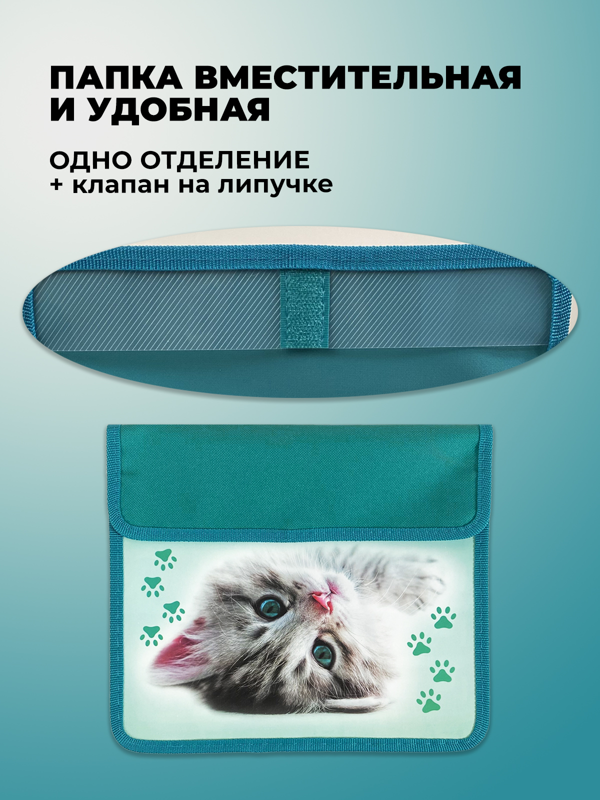 Папка для тетрадей Cancburg А5 - фото 4