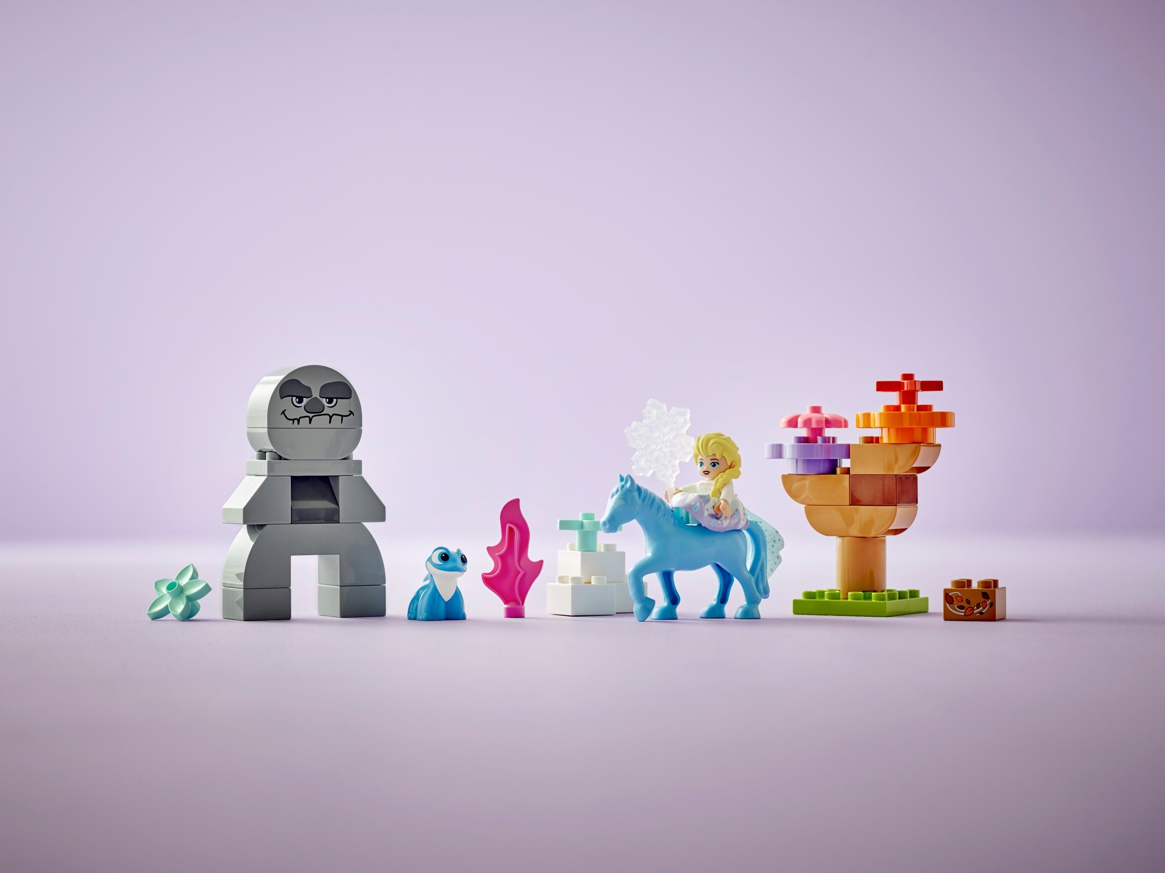 Конструктор LEGO DUPLO 10418 31 дет. - фото 5