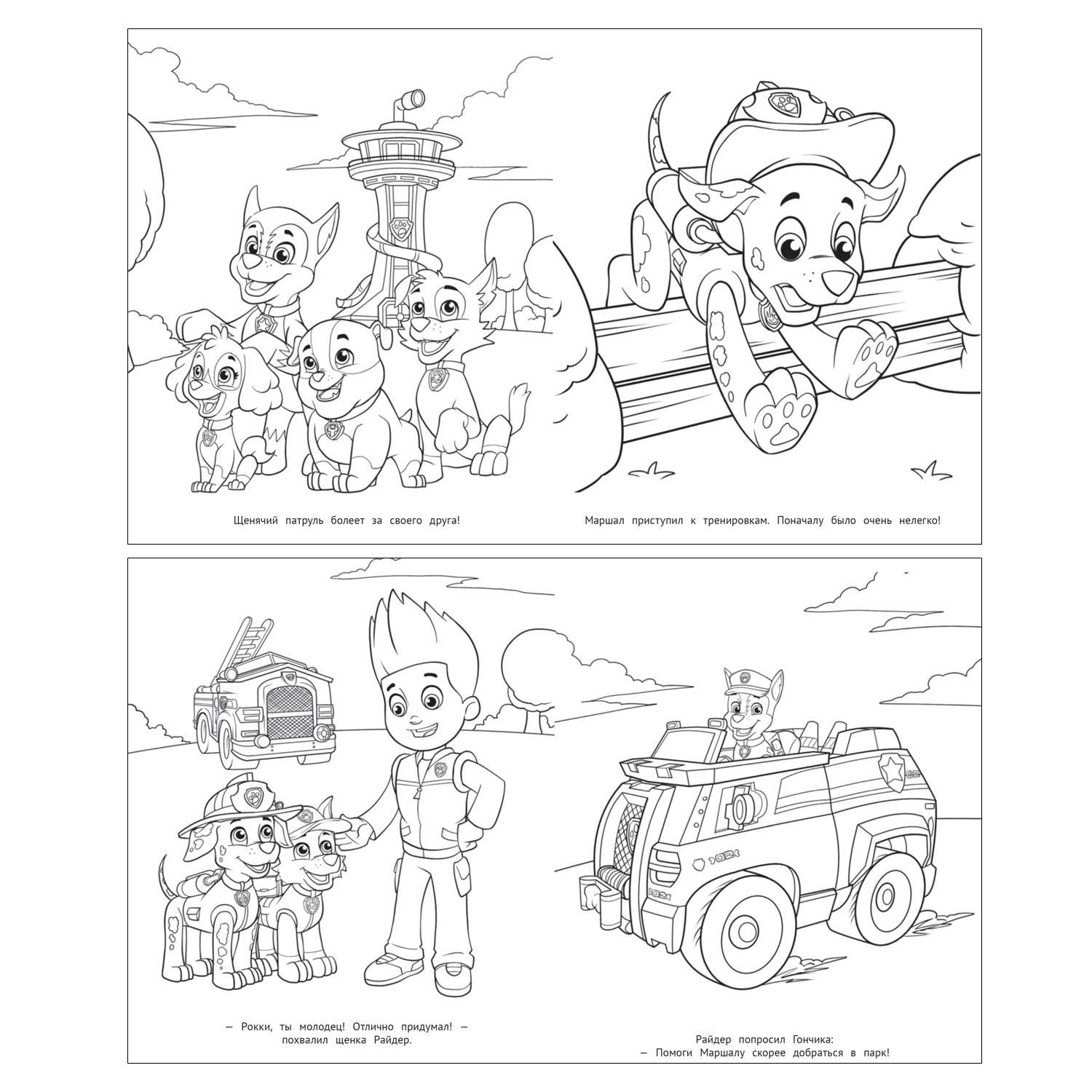 Раскраска ИД Лев Макси - фото 5