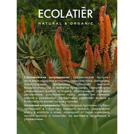 Шампунь Ecolatier 250 мл