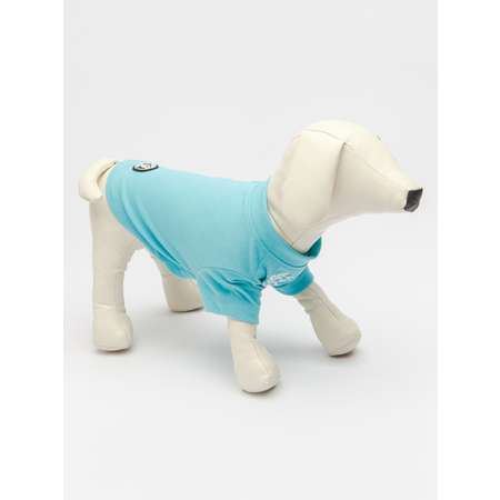 Футболка для собак PIFPAF DOG