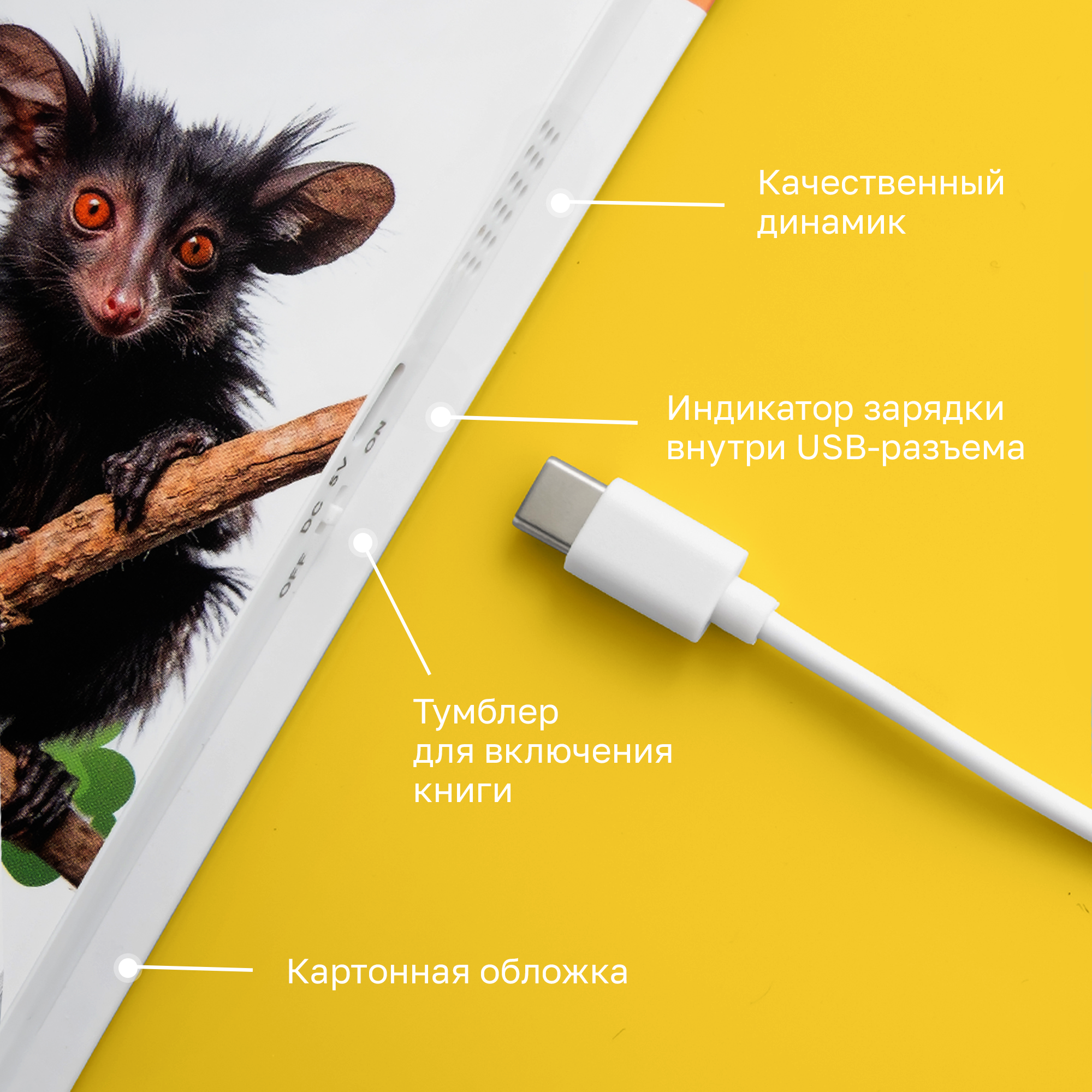 Говорящая книжка BertToys большая нажималка животные - фото 16