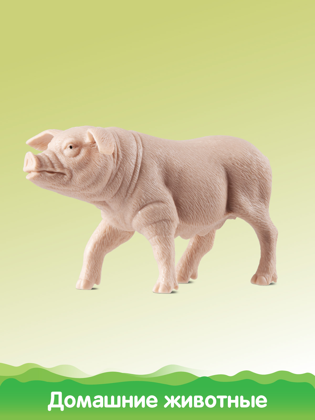 Игровой набор DARWIN Домашние животные 6шт - фото 9