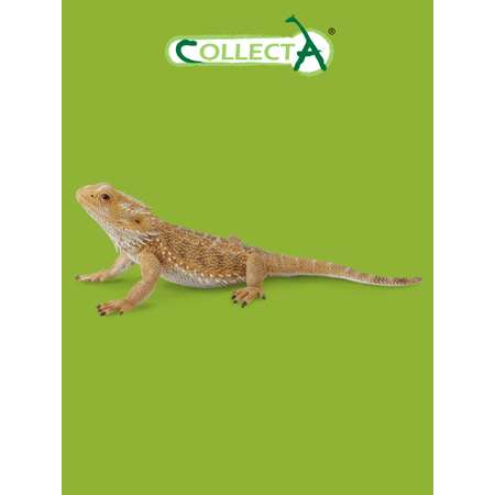 Фигурка Collecta Бородатая ящерица