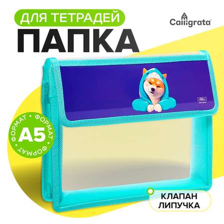 Файл Calligrata
