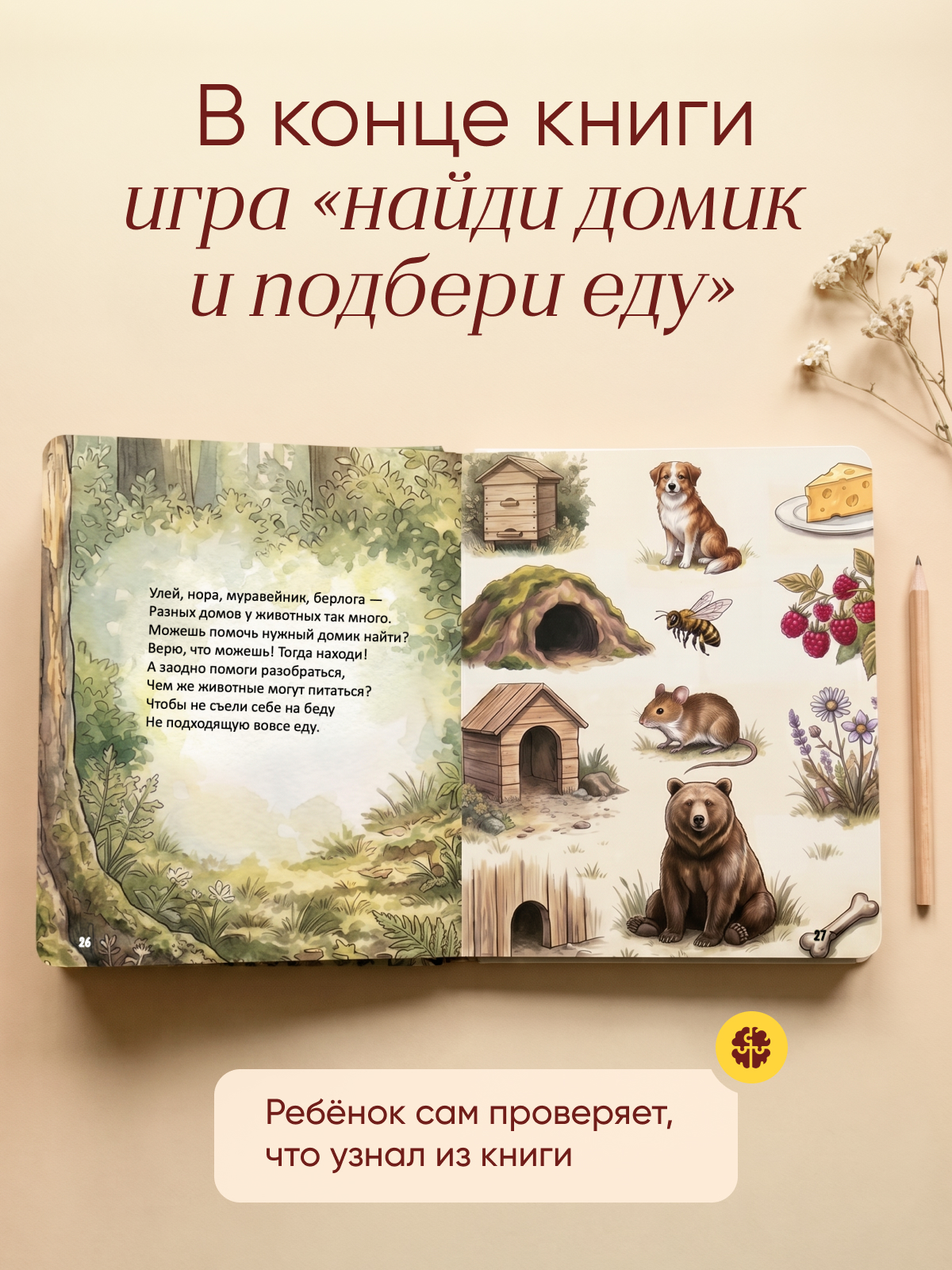 Картонная книга для детей Расту по возрасту "Кто где живет? Кто что жует?» 2+ - фото 5