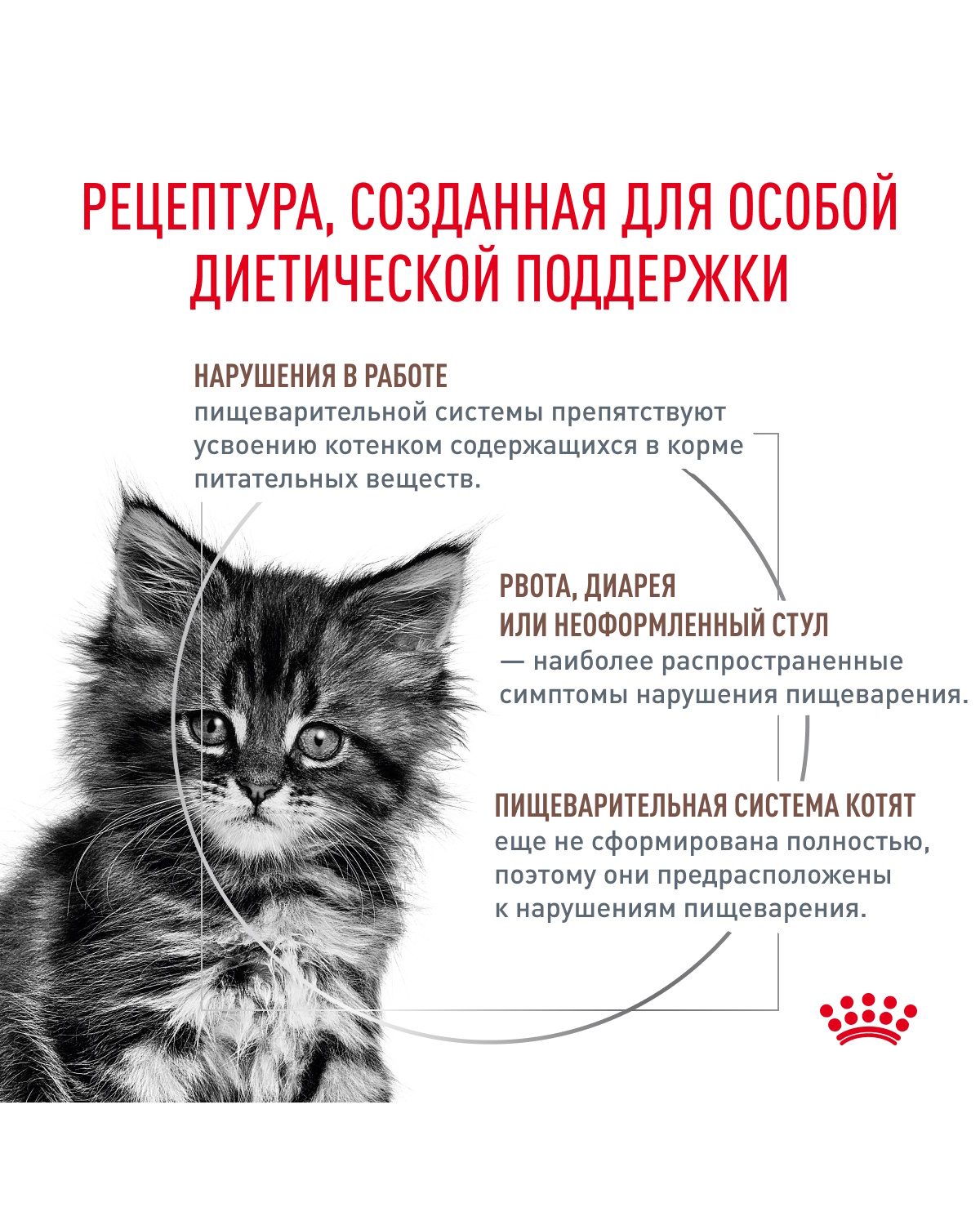 Корм для котят ROYAL CANIN Gastrointestinal kitten при нарушениях пищеварения 350г - фото 2
