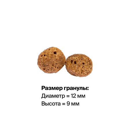 Корм сухой Hanta для взрослых собак мелких и средних пород с говядиной и рисом