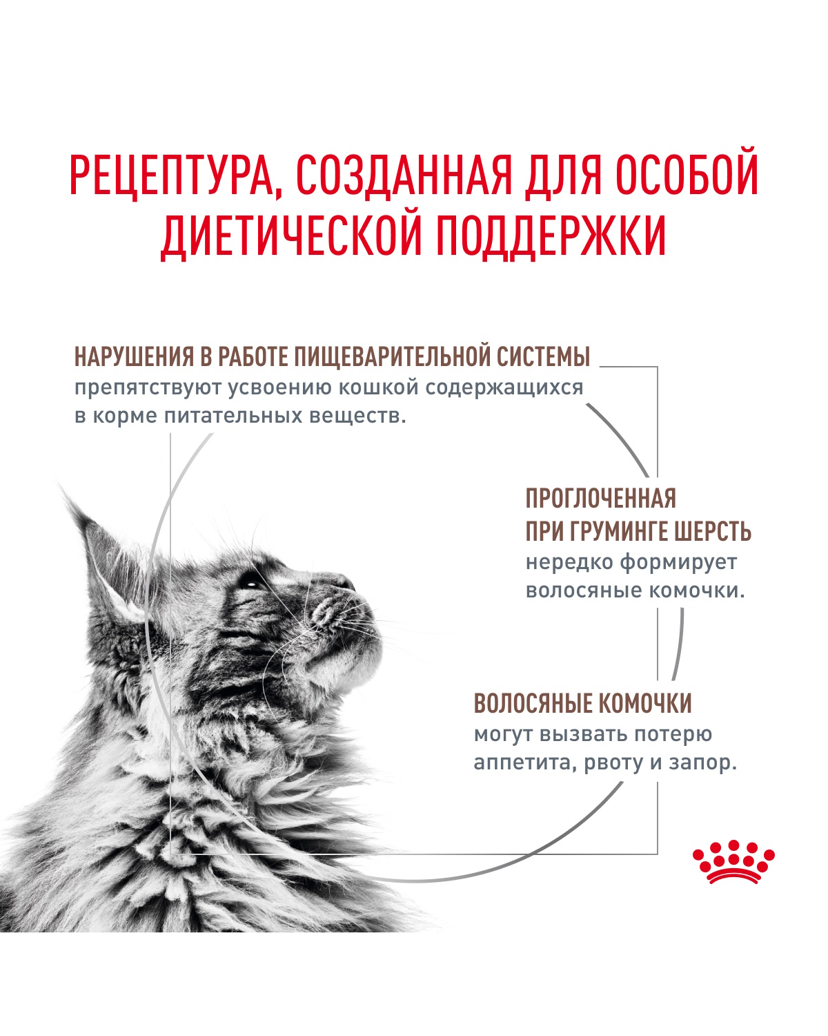 Корм для кошек ROYAL CANIN Gastrointestinal Hairball для профилактики образования волосяных комочков 350г - фото 2
