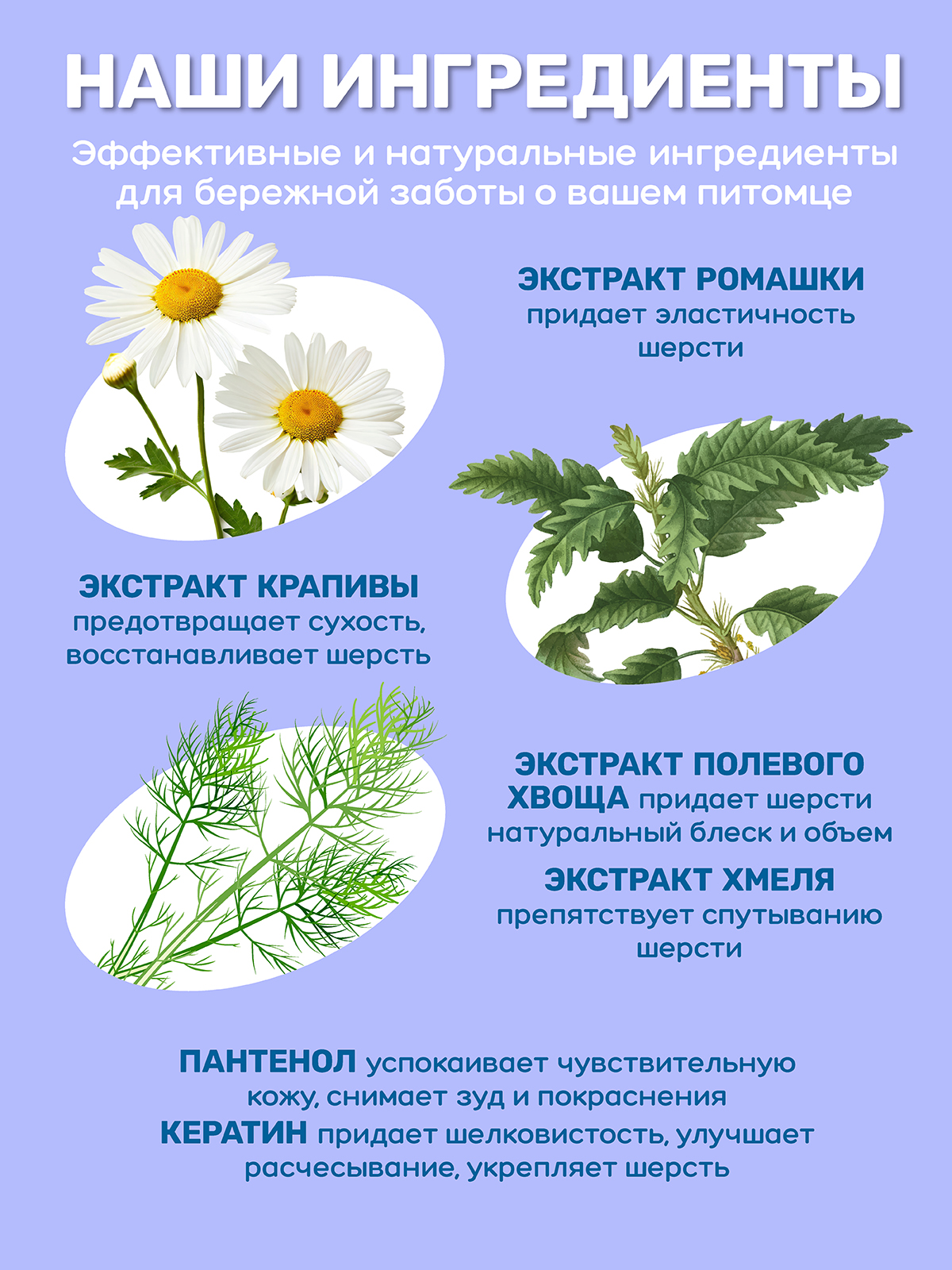 Шампунь-кондиционер ZOORIK для собак и кошек 2 в 1 5000 мл - фото 5