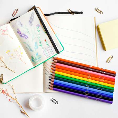 Карандаши цветные BIC 12 шт.