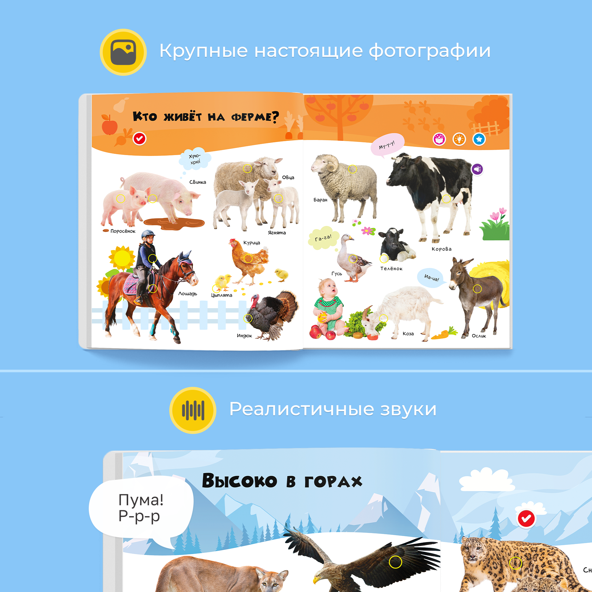 Говорящая книга Нажималка BertToys Транспорт + Животные большая - фото 9