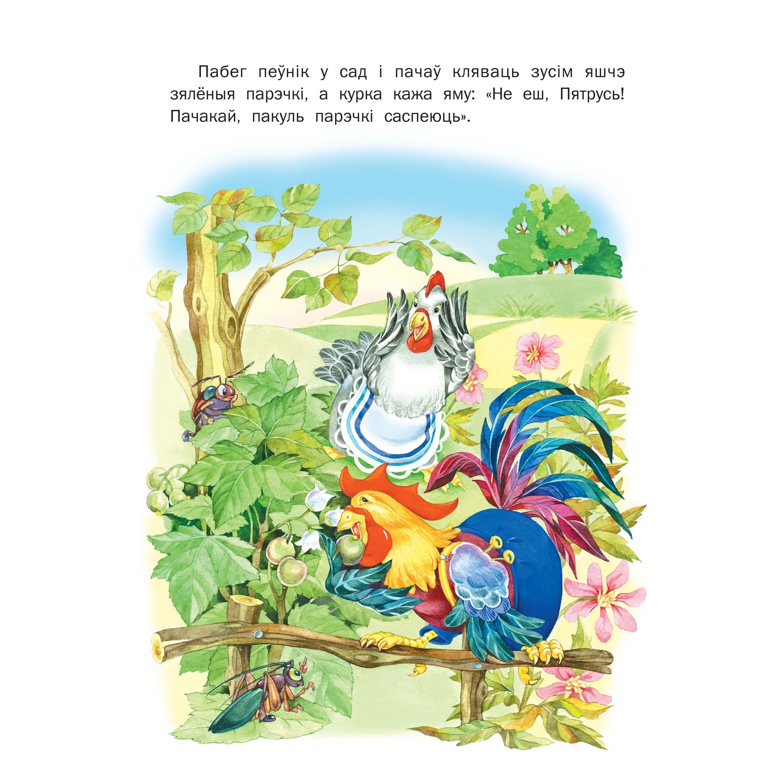 Книга Курочка и петушок 1802030189 - фото 3