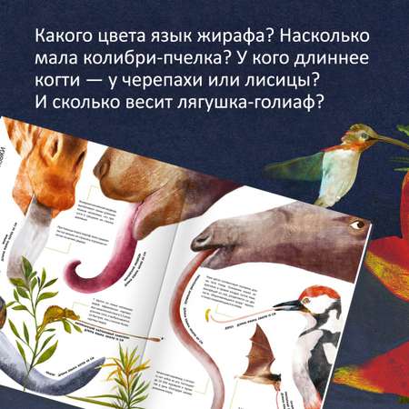Книга Махаон Рита Мэйбл Скьяво. Самые удивительные животные в натуральную величину