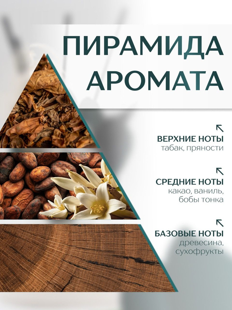 Диффузор с сухоцветами в Премиум тубусе Accents Vanilla Tobacco - фото 2