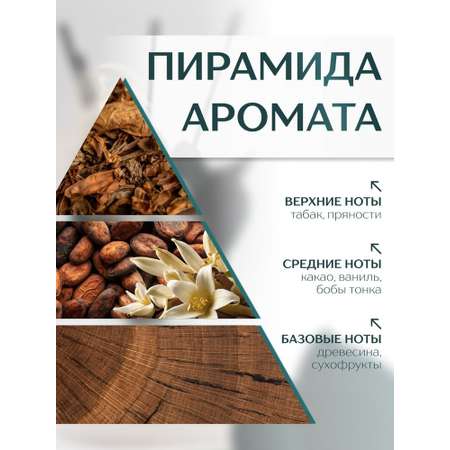 Диффузор с сухоцветами в Премиум тубусе Accents Vanilla Tobacco