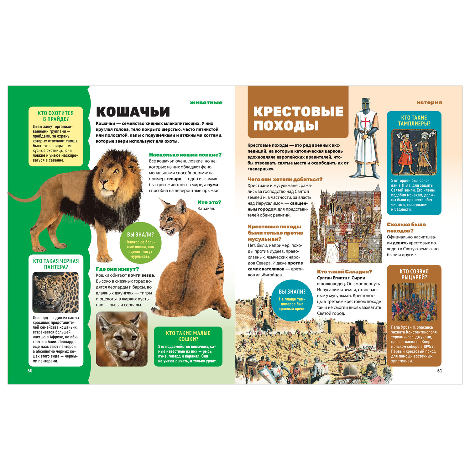 Книга Росмэн Энциклопедия обо всем 850 вопросов и ответов - фото 3