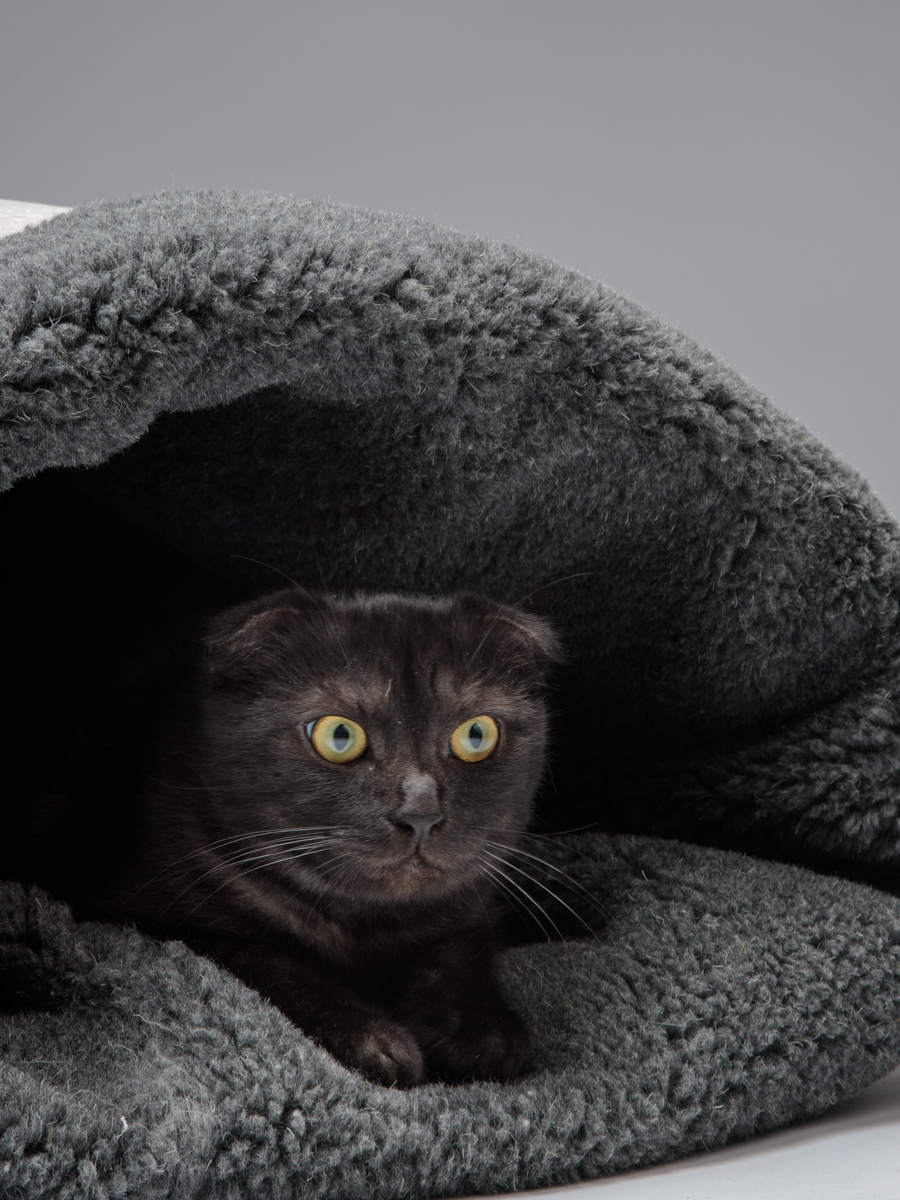 Домик для кошек и собак Пятница Нора с овчиной 50х38х50 см темно-серый - фото 4