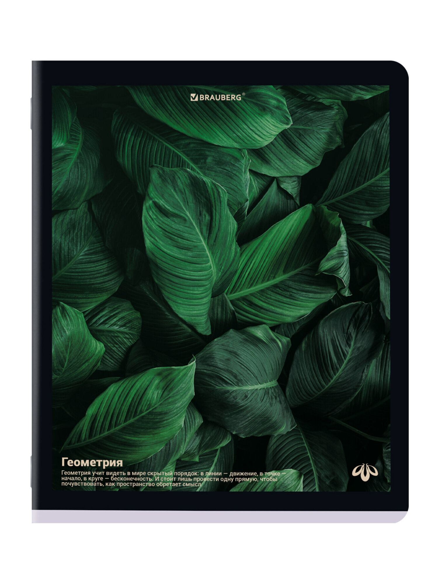 Тетрадь Brauberg 48 лист. 12 шт. - фото 11