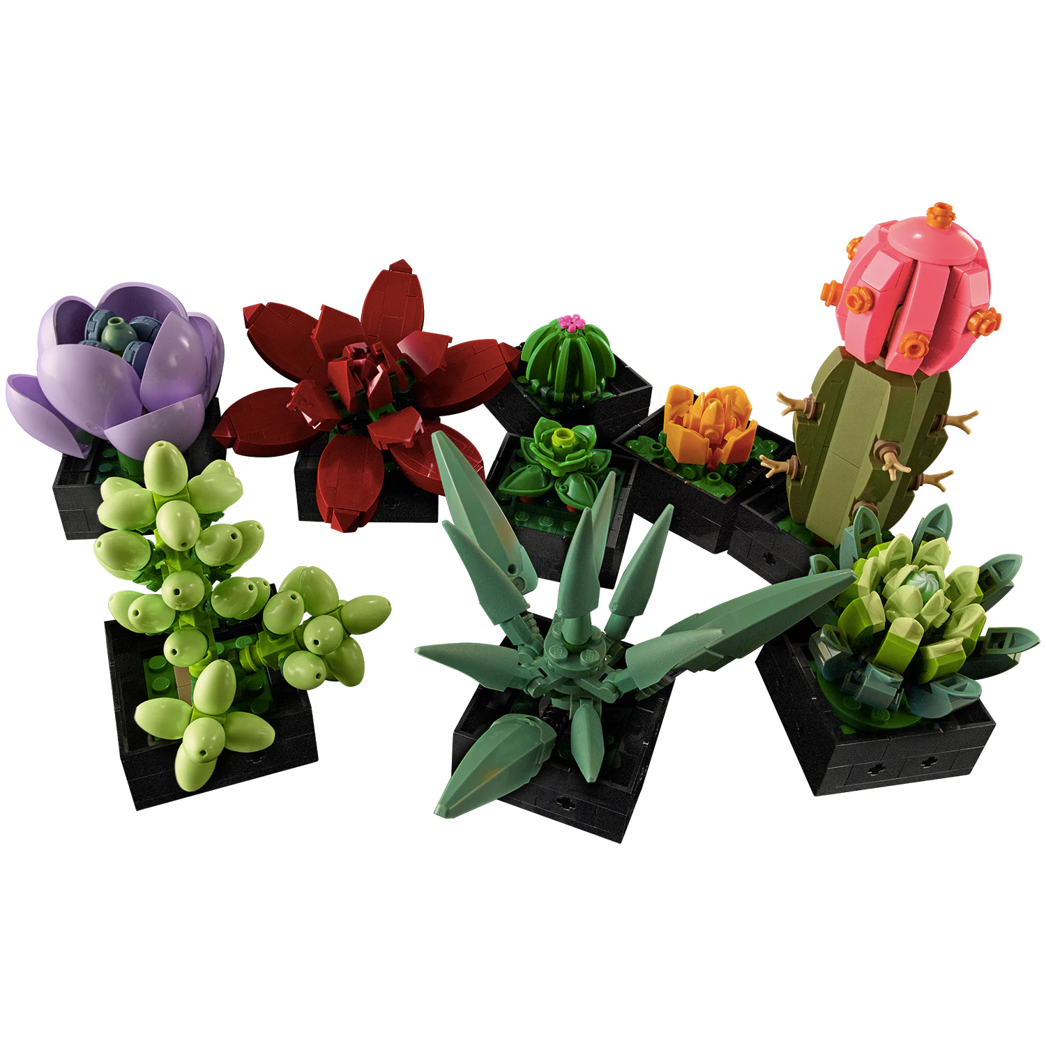 Конструктор LEGO Botanicals Кактусы 771 дет. - фото 5
