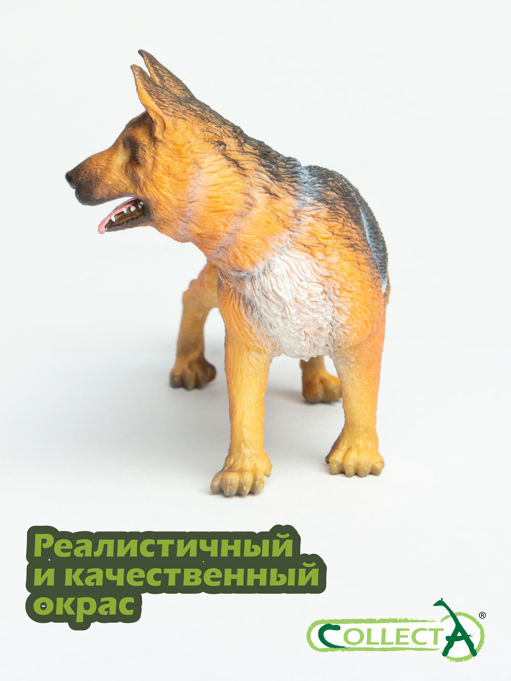 Фигурка Collecta Немецкая овчарка - фото 4