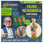 Настольная игра Играем вместе Тело человека