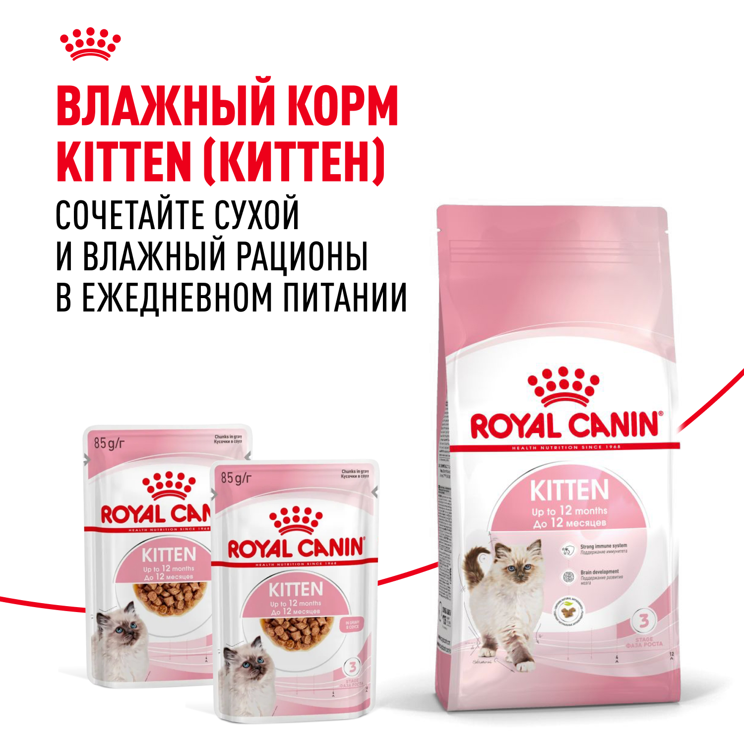 Корм сухой для котят ROYAL CANIN Kitten 300г - фото 9
