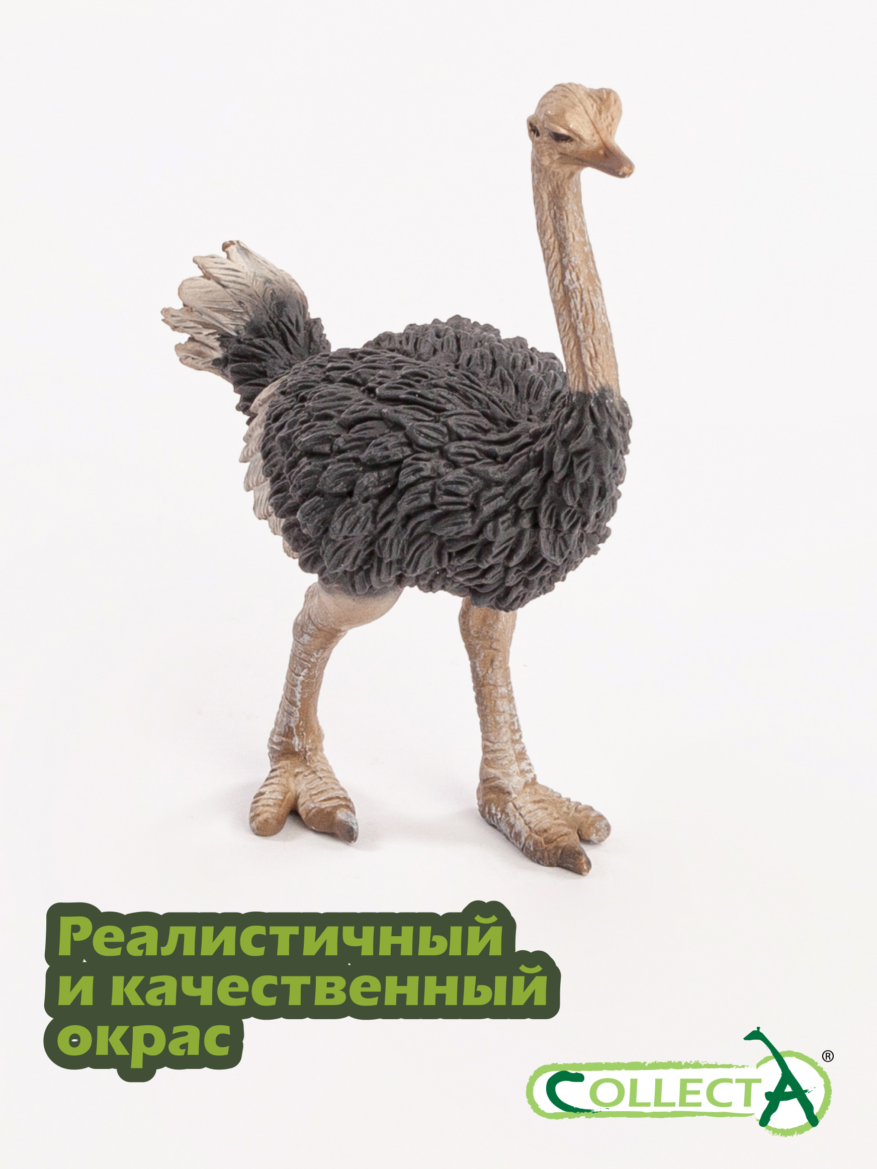 Фигурка Procon (Asia) Ltd Страус, 9,5 см - фото 4