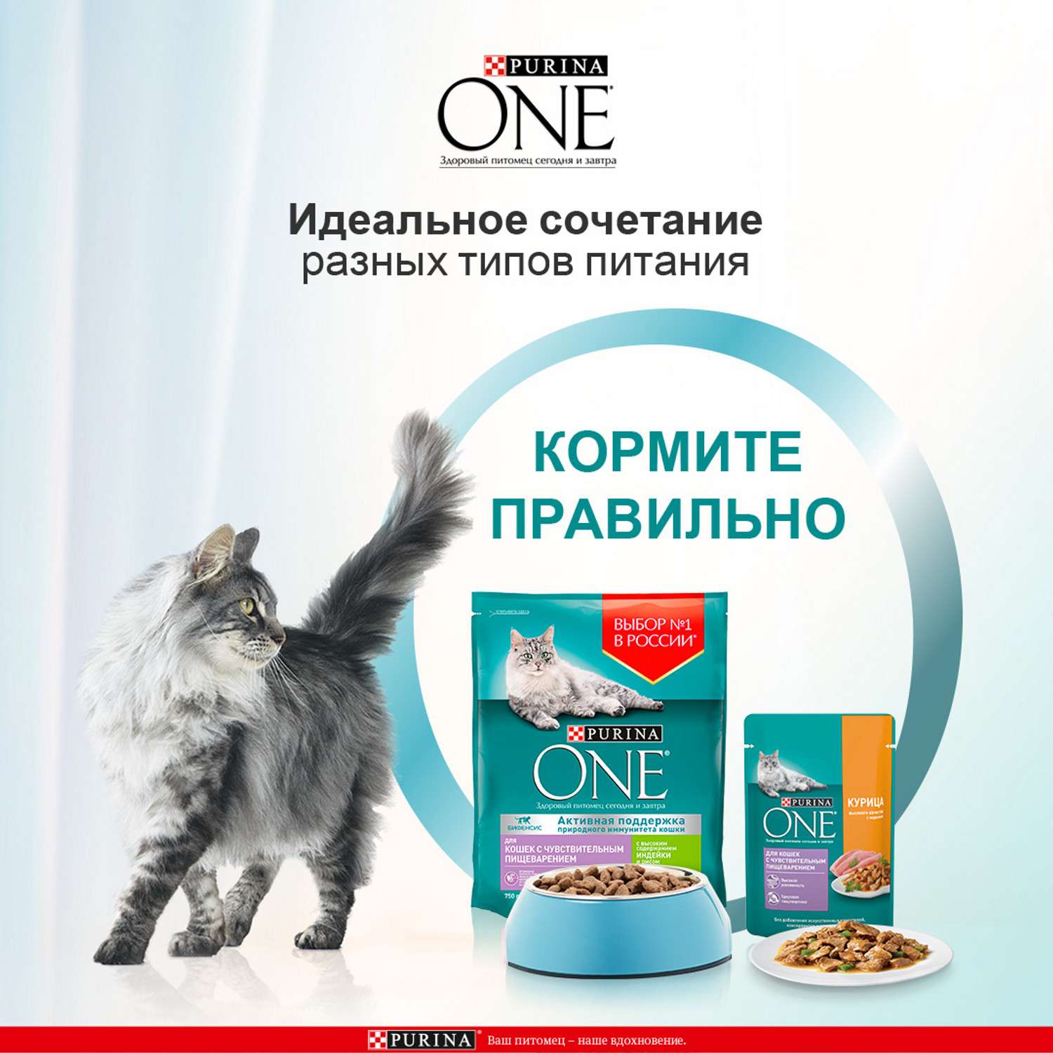 Корм для кошек Purina One чувствительное пищеварение курица 75г - фото 5