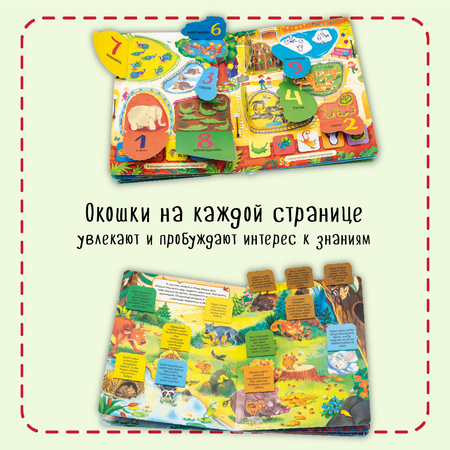 Набор книжек с окошками BimBiMon Для любознательных принцесс 4 шт